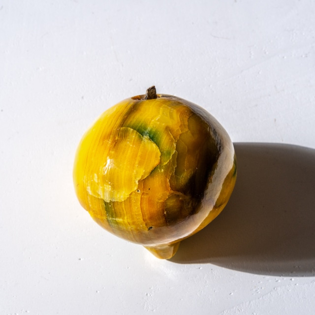 Onion – Alabaster Fruit / Vegetable