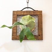 Old oak & iron flame small