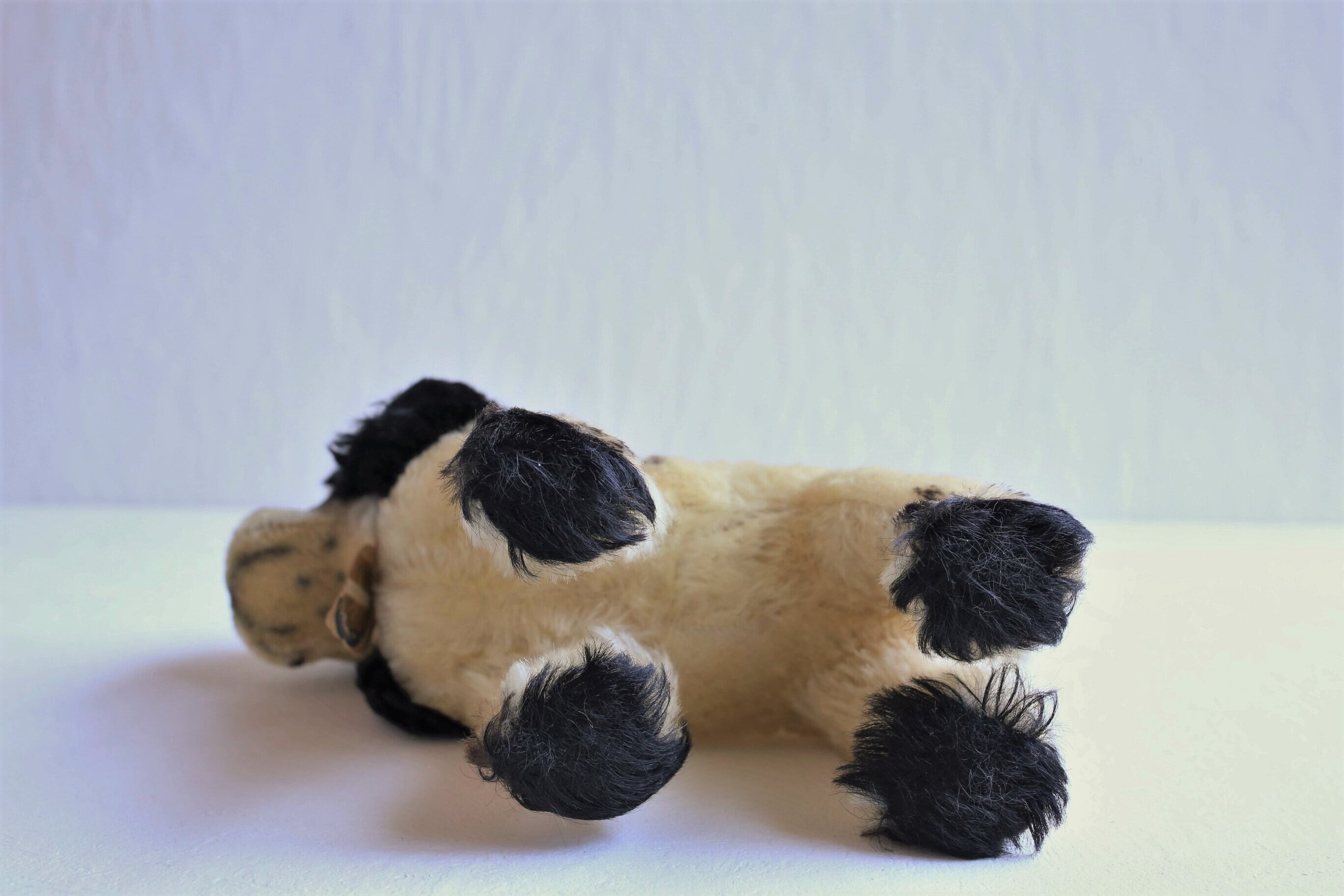 ドイツ ヴィンテージ Steiff シュタイフ コッカースパニエル ドイツ ヴィンテージ Steiff シュタイフ コッカースパニエル