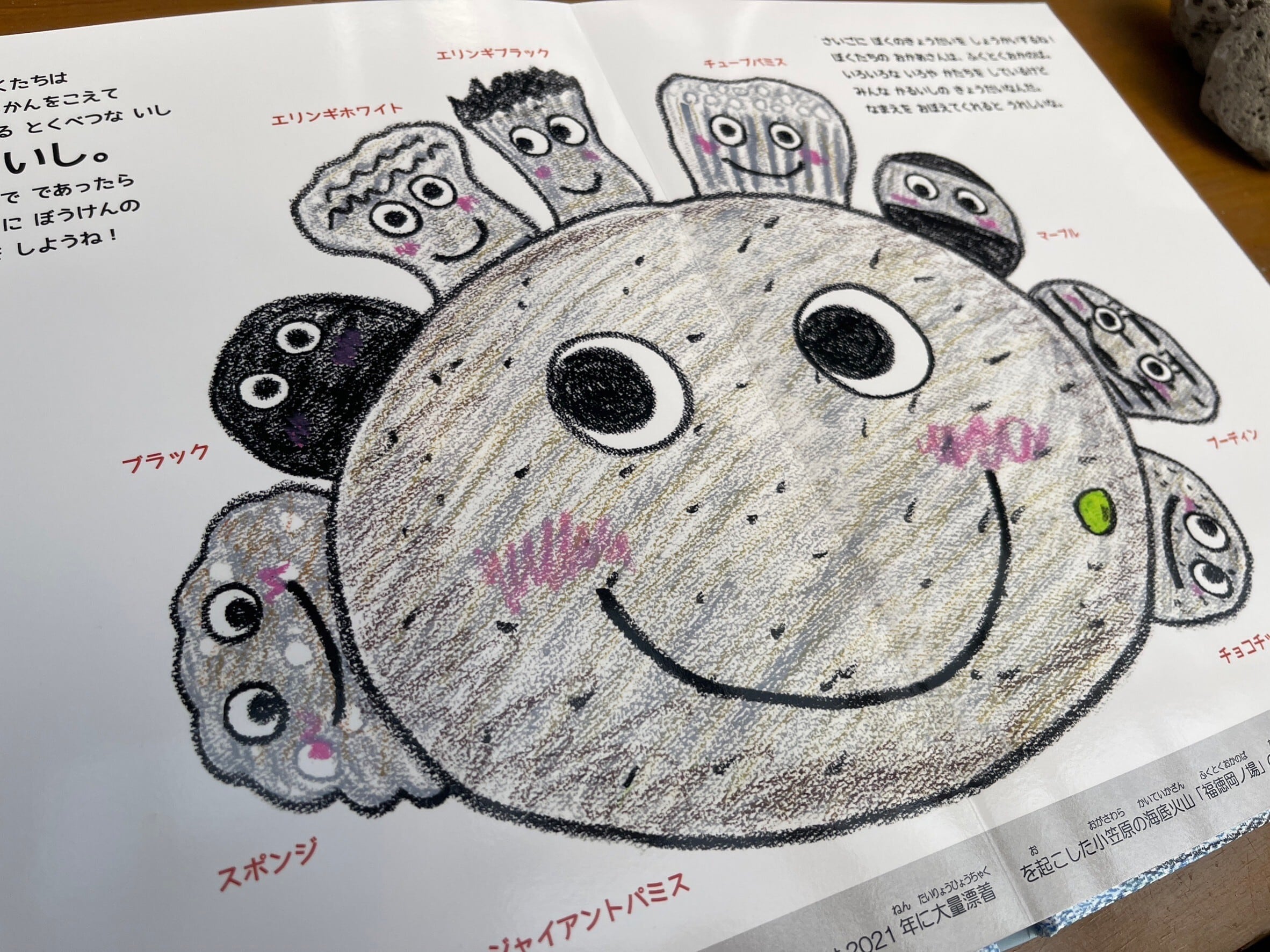 絵本・パミスのだいぼうけん◇大判サイズ・A4（作者サイン入り