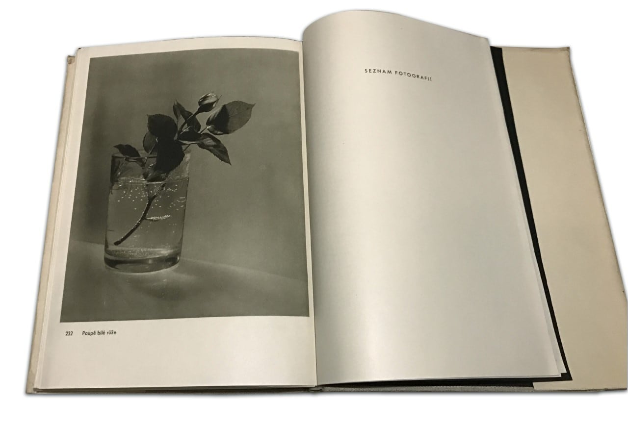 JOSEF SUDEK FOTOGRAFIE | Le mariage de Chimère JOSEF SUDEK FOTOGRAFIE | Le mariage de Chimère