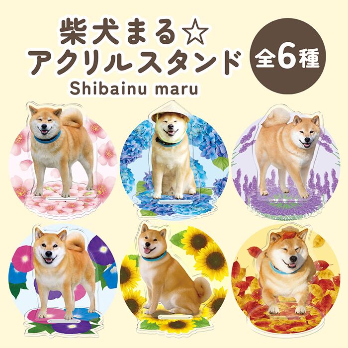 柴犬まる☆アクリルスタンド | marutaroshop