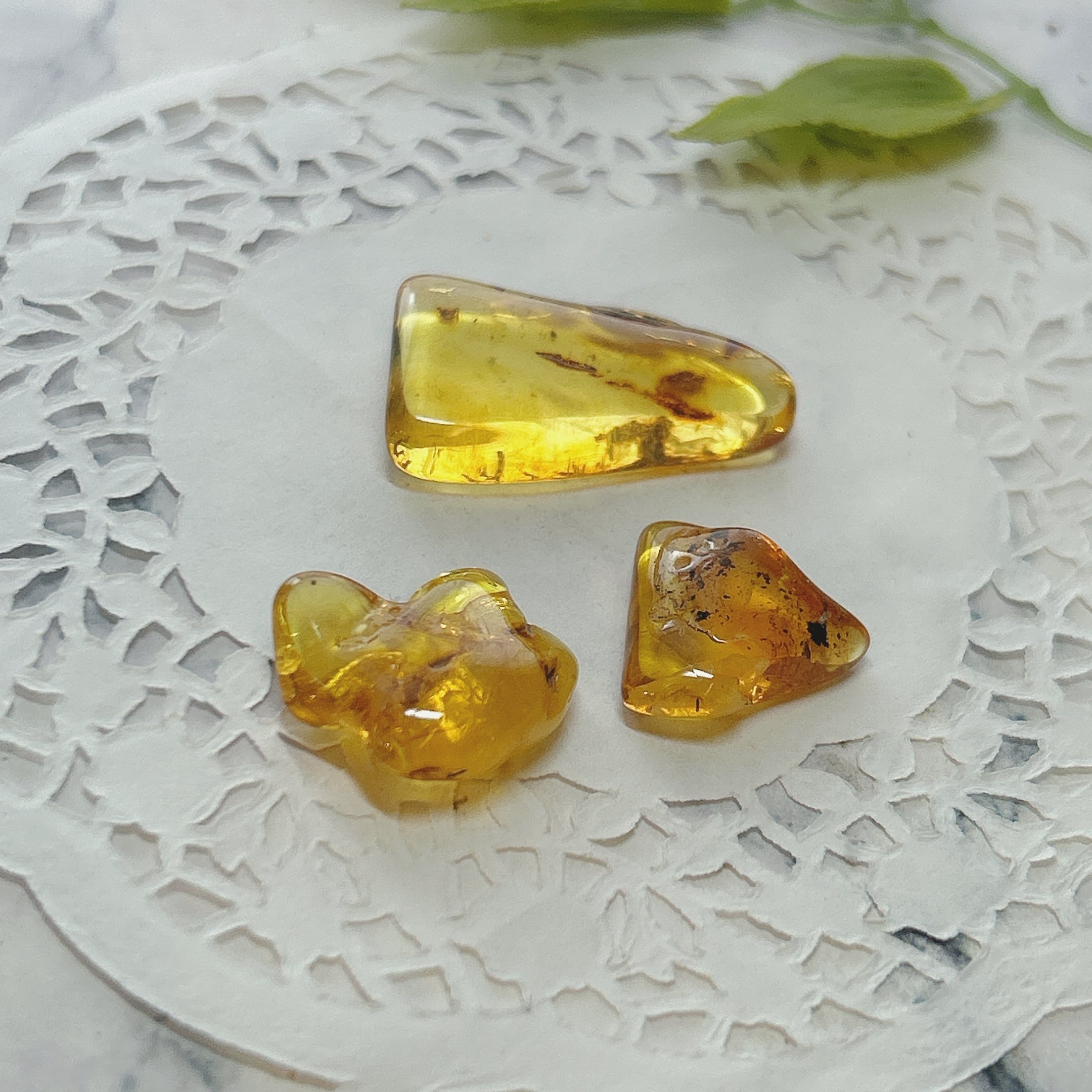 化石]琥珀・アンバー | クリスタル・ワールド御徒町店