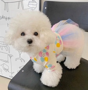 ドッグ 犬 小型犬 ドッグウェア 室内着 シャツ スカート セミフレア 袖付き スマイル お花 一体型 ひらひら キャラクター 薄手 チュール かわいい シンプル カジュアル ラフ ルーズ 個性的 ラブリー キュート 都会的 シンプル 花柄 オールシーズン ロングシーズン サマーシーズン 女の子 成犬 デート お出かけ パーティー イベント 旅行 レストラン 公園 休日 カフェ 庭 ガーデン 散歩 ウォーキング 室内 おうち コーデ 楽ちん インスタ映え XS S M L XL