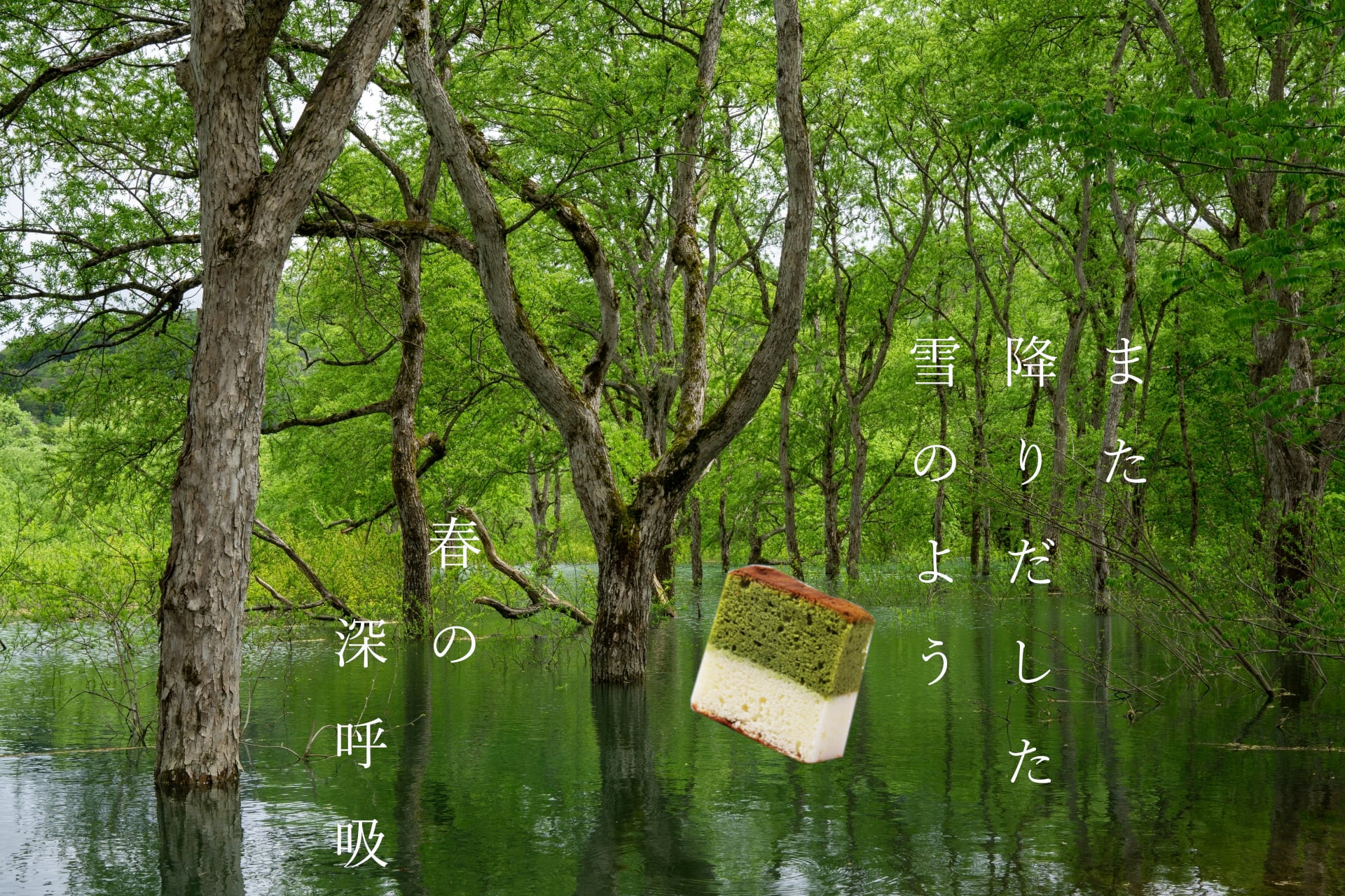 【雪景色パッケージ】また降りだした雪のよう　抹茶　8個入