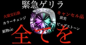 【24時間限定】月末ゲリラサービスイベント［No.K-149］