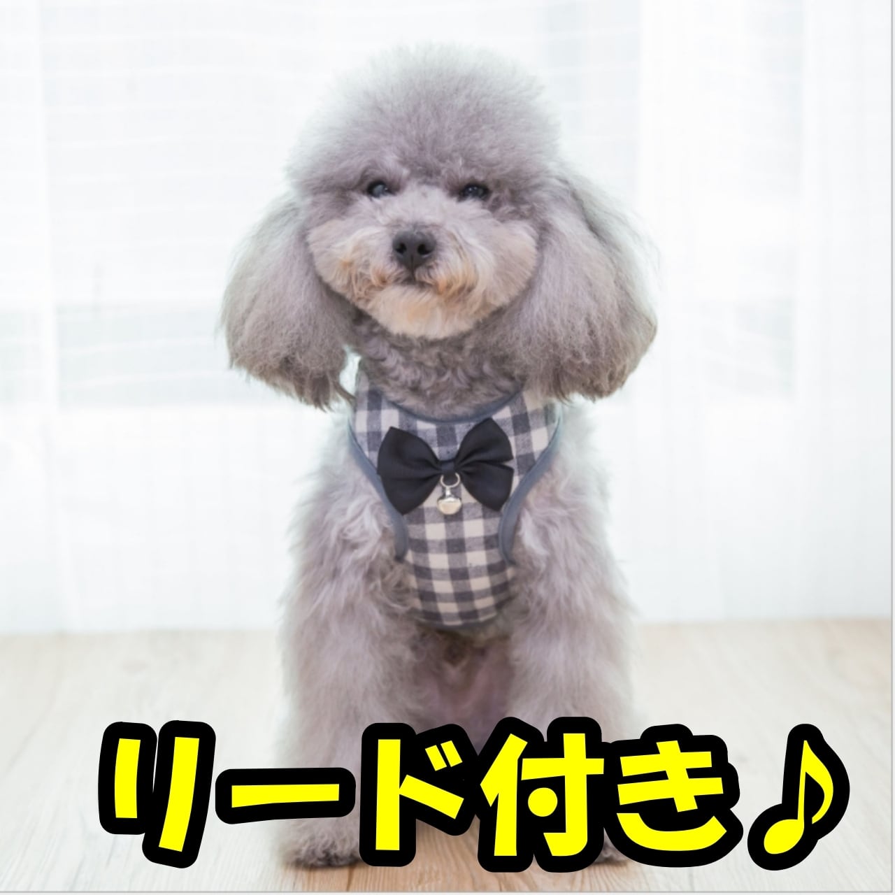 ハーネス リード付き チェック柄 鈴 リボン 蝶ネクタイ