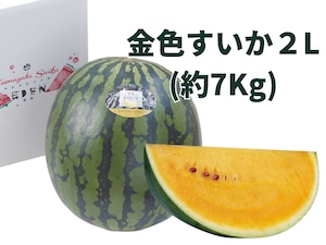 大玉：金色すいか1個【2Lサイズ約7~8kg】