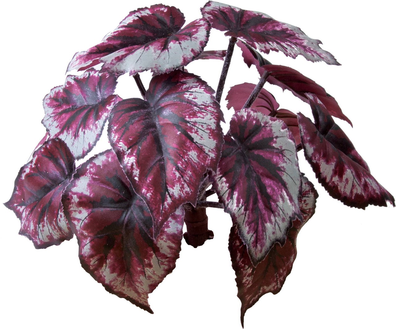 ロックプランツ　ベコニア　　GL-MB009　4961823634918　造花（アーティフィシャルフラワー） > 定番造花グリーン（素材）