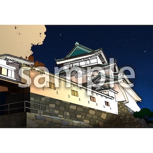 和歌山城ライトアップ