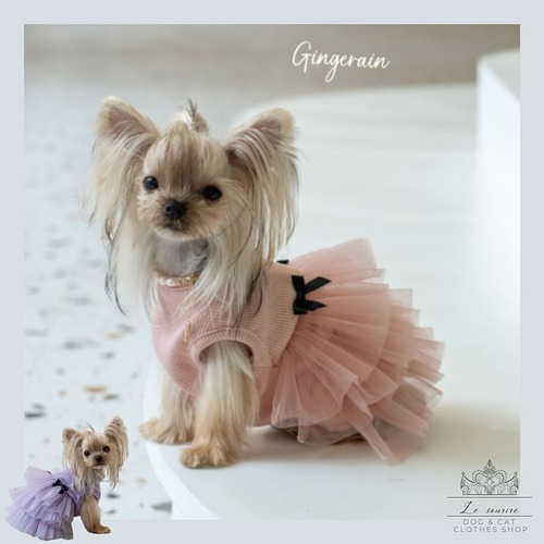 予約【№B07352】リブ×ふんわりチュチュワンピ（2カラー）