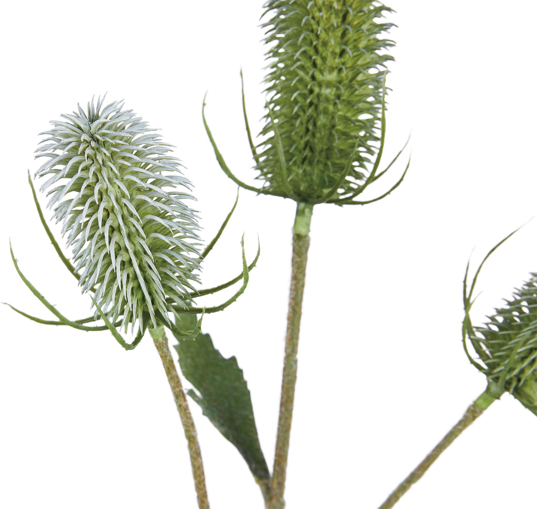 ディプサカススプレー　　FG-5157GR　4961823786815　造花（アーティフィシャルフラワー） > 定番造花グリーン（素材）