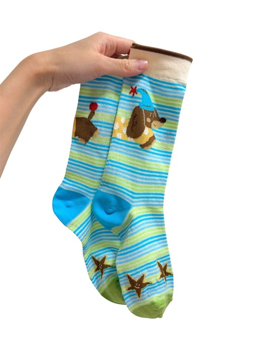 【solmu】 ダックスフンド 薄手socks（ライトブルー）