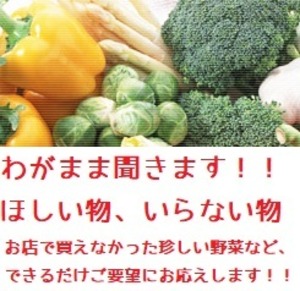 わがまま野菜セット