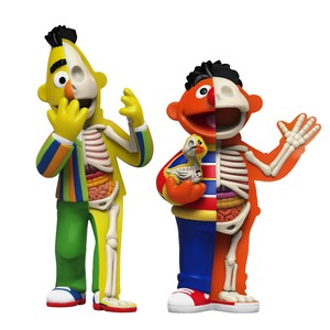 XXRAY Plus Sesame Street Anatomical Bert & Ernie by Jason Freeny
