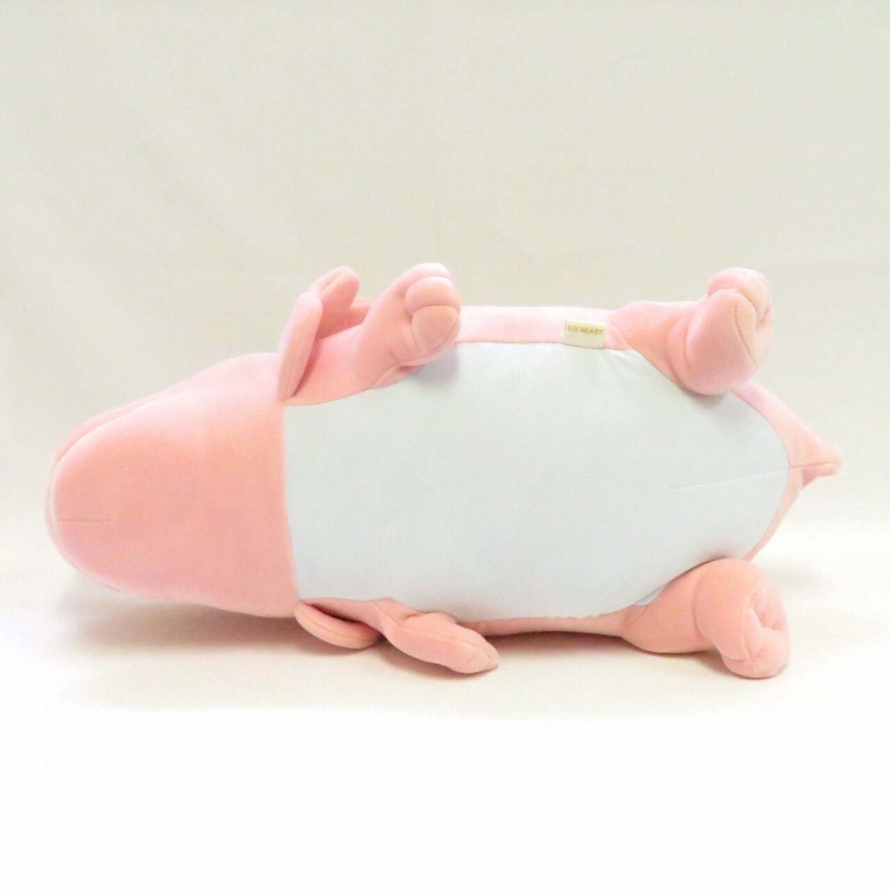 かむかむズ トリケラトプス クール 限定カラー 恐竜 | 福井勝山お土産