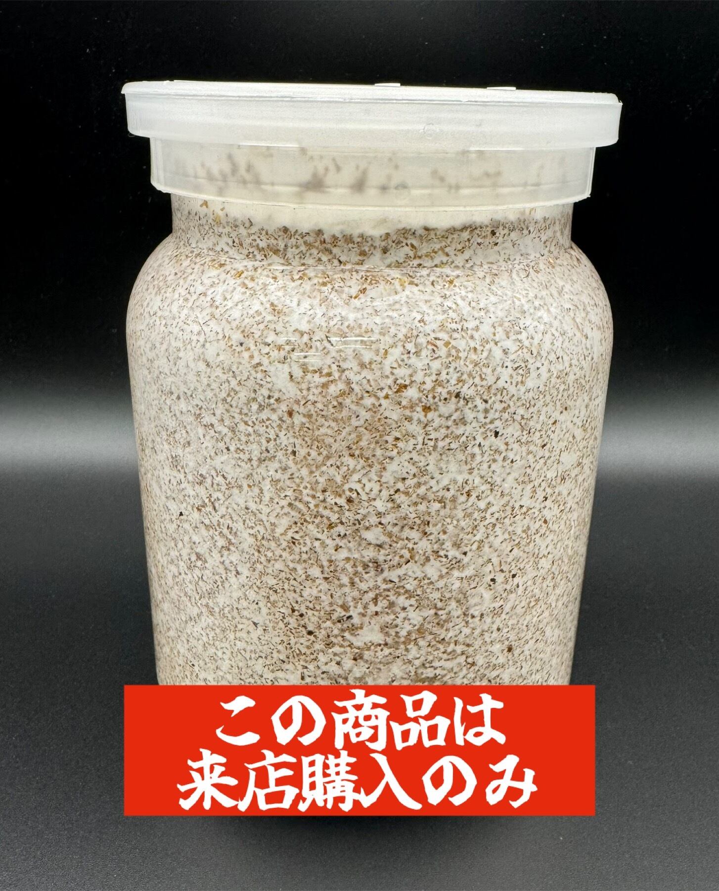 極上！ヒマラヤひらたけ菌糸ブロック【10個】初菌のみ使用！国産