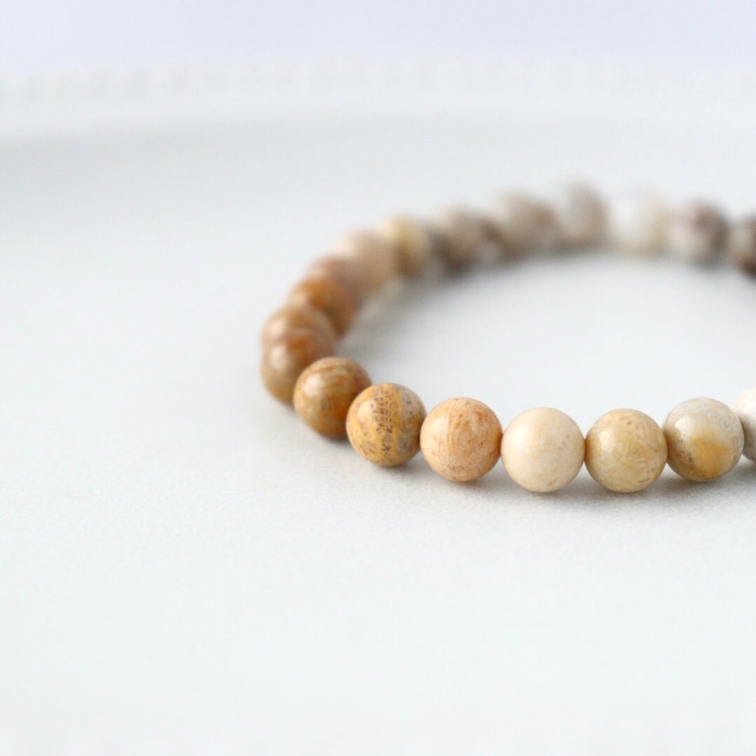 フォッシルコーラル / 珊瑚 | 木霊石 KODAMA-ishi