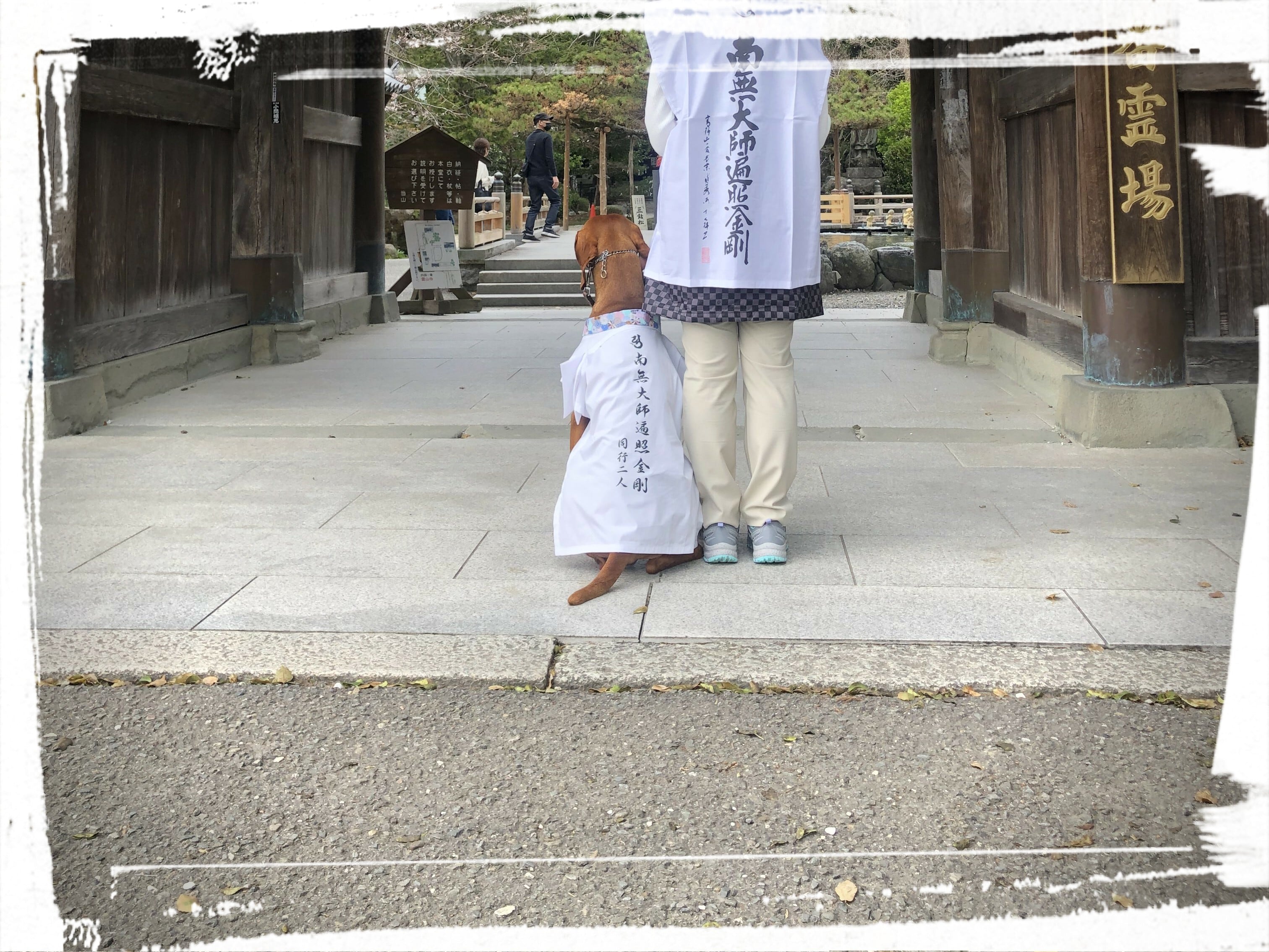 おっきいわんちゃん用 ペット用お遍路白衣 巡礼白衣 輪袈裟付き 3点