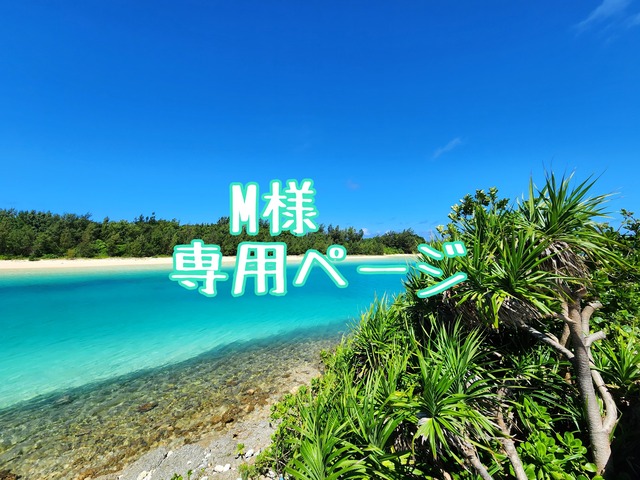 M様専用ページ