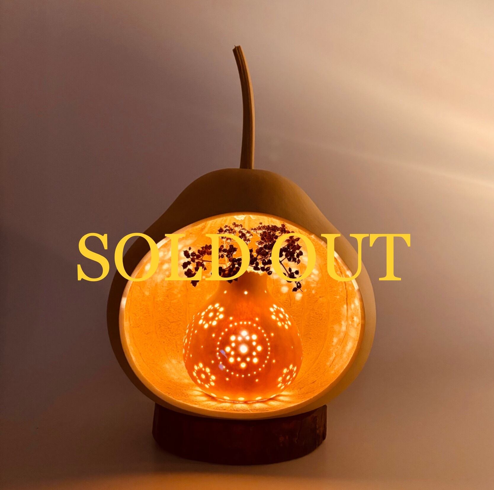 ひょうたんドーム D–14