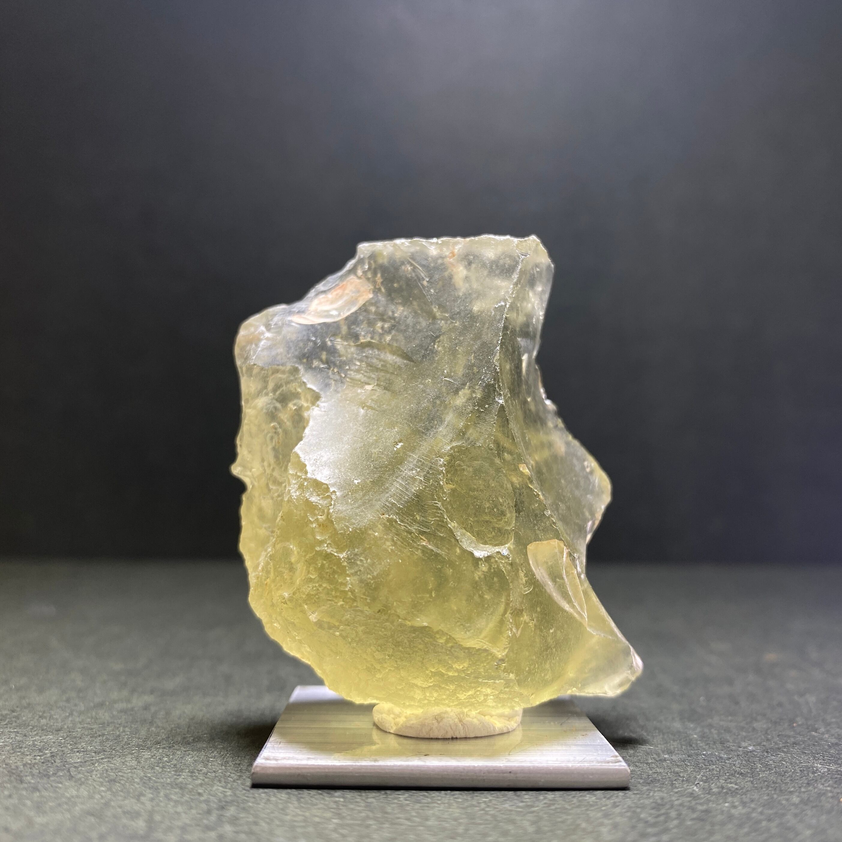 大きいリビアングラス