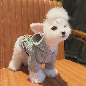 【PET】薄い灰色デザイン感刺繡入りフーディ