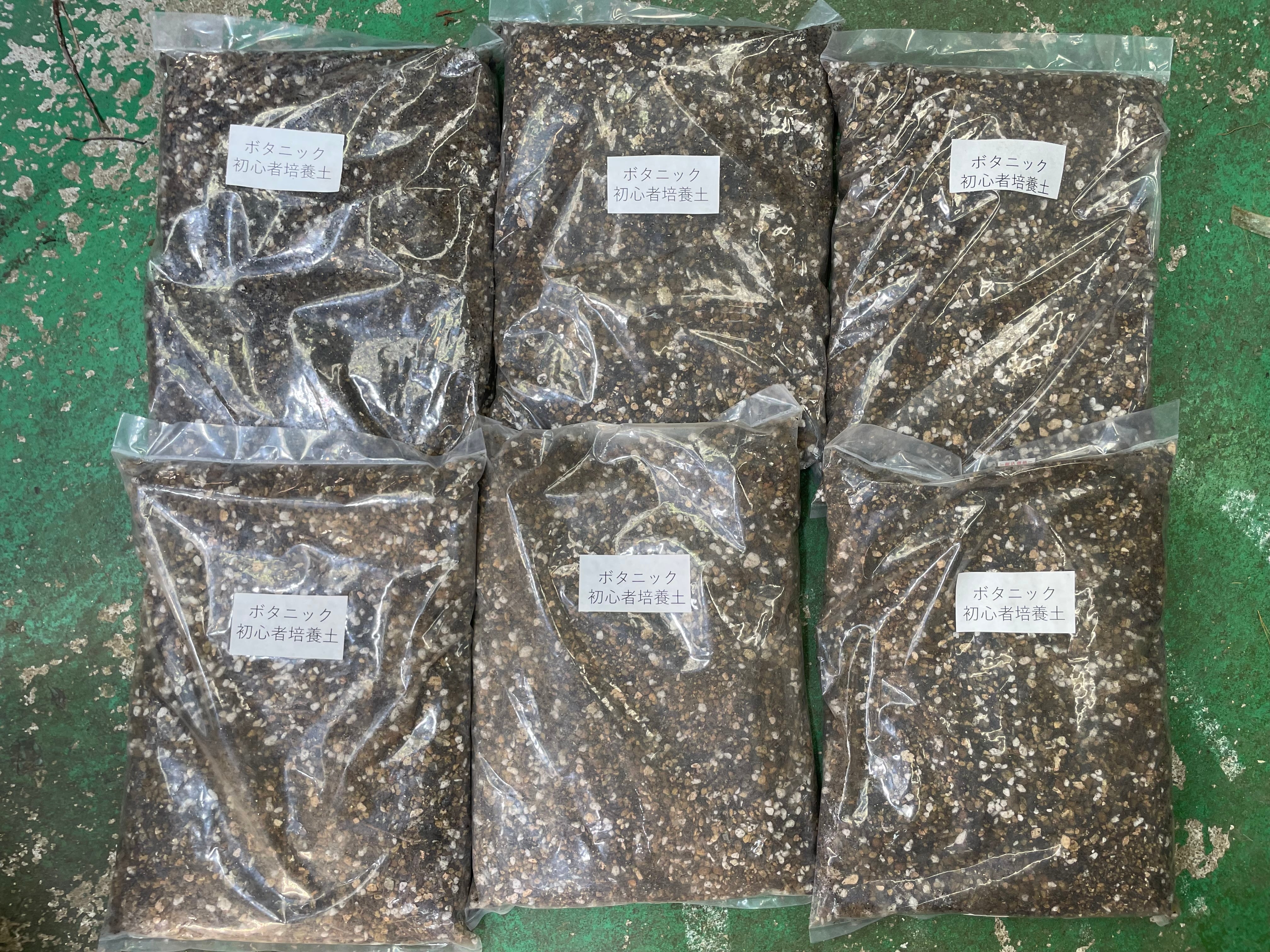 ビカクシダ養生板 7枚入(S、M、L、サイズあり) | UEKIYA GREENPLAZA 21