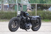 GW-74-Springer forks kit (Stock-size) for XL