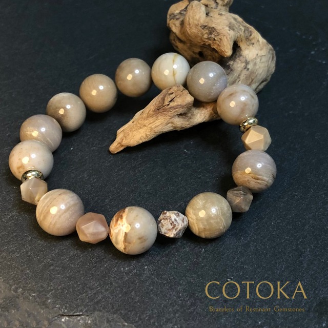 P3☆特選一連☆希少☆木化石【13mmペトリファイドウッド珪化木ラウンド