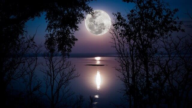 美容液AIKI.《 2本ご購入で＋1本 無料プレゼント》 | 秦明日香