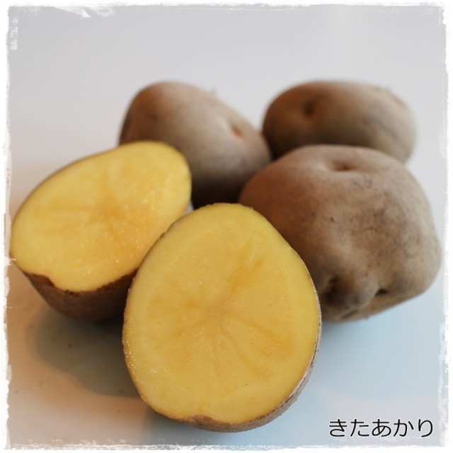 加藤農場　じゃがいもお任せ4種セット【計10kg】　