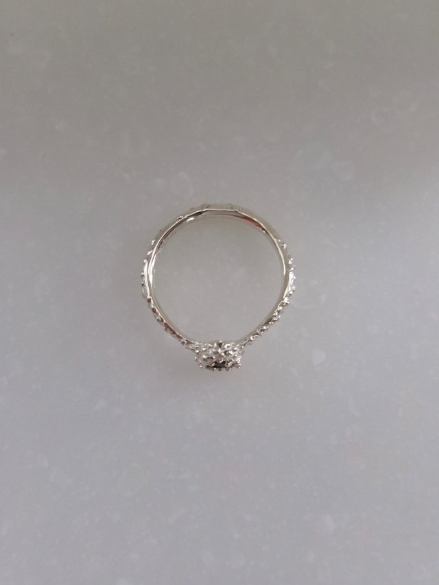 O-006S (BlackOnyx) SV