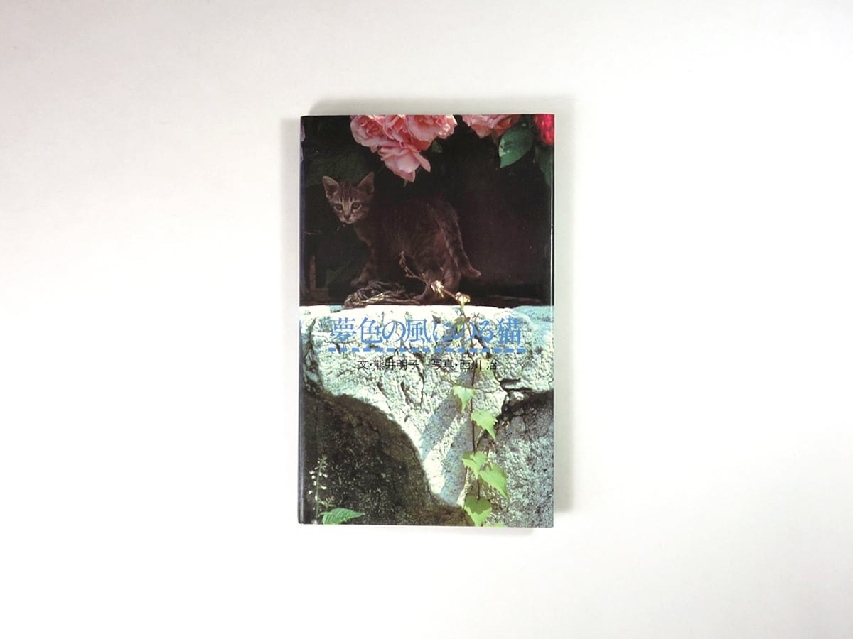 夢色の風にのる猫(熊井明子 詩、西川治 写真)- ギフトブックライブラリー