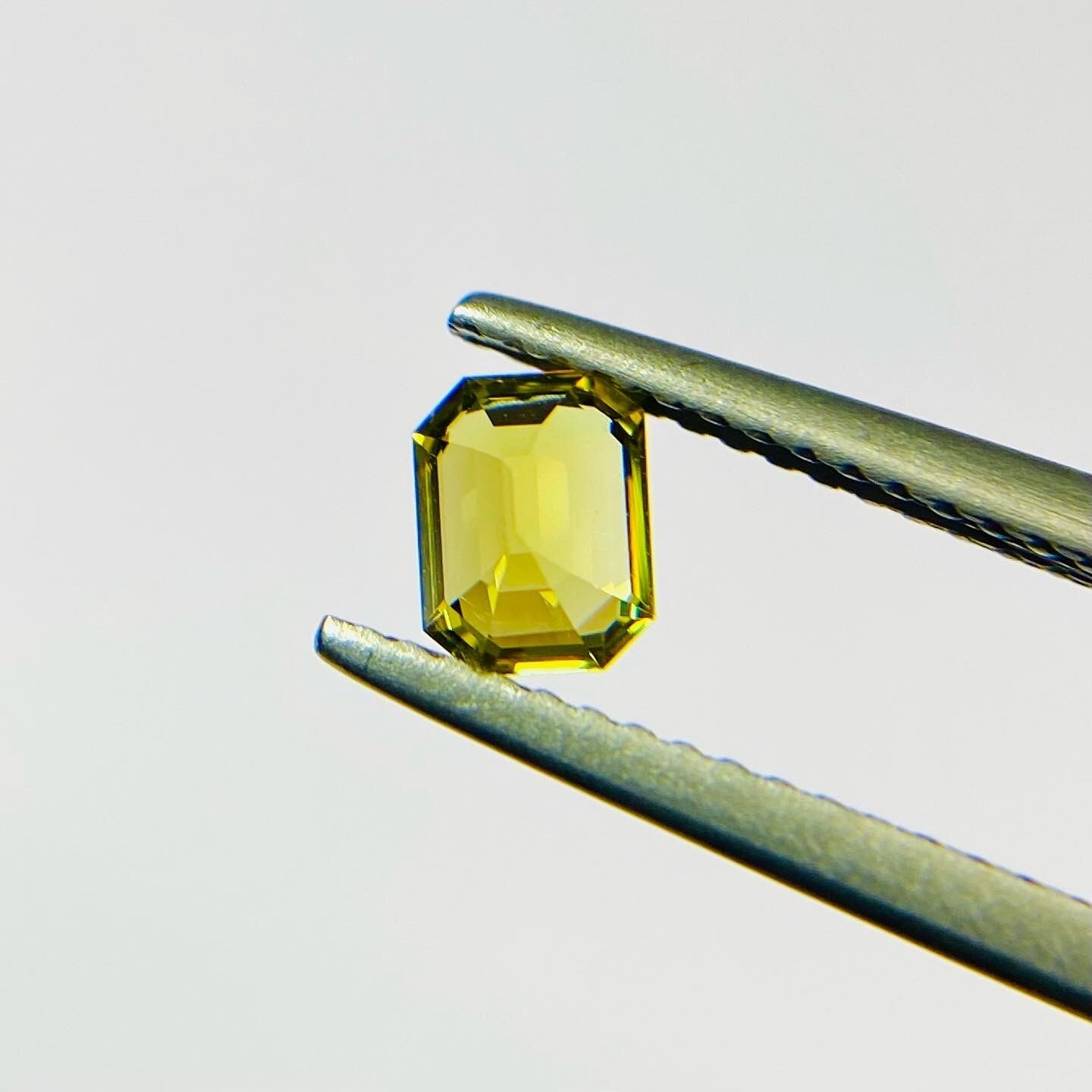 冬もビタミンカラー全開！マリガーネット