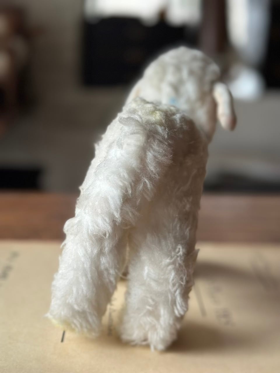 羊のぬいぐるみ Steiff(シュタイフ社製) Cosy Lamby | Brocante de La