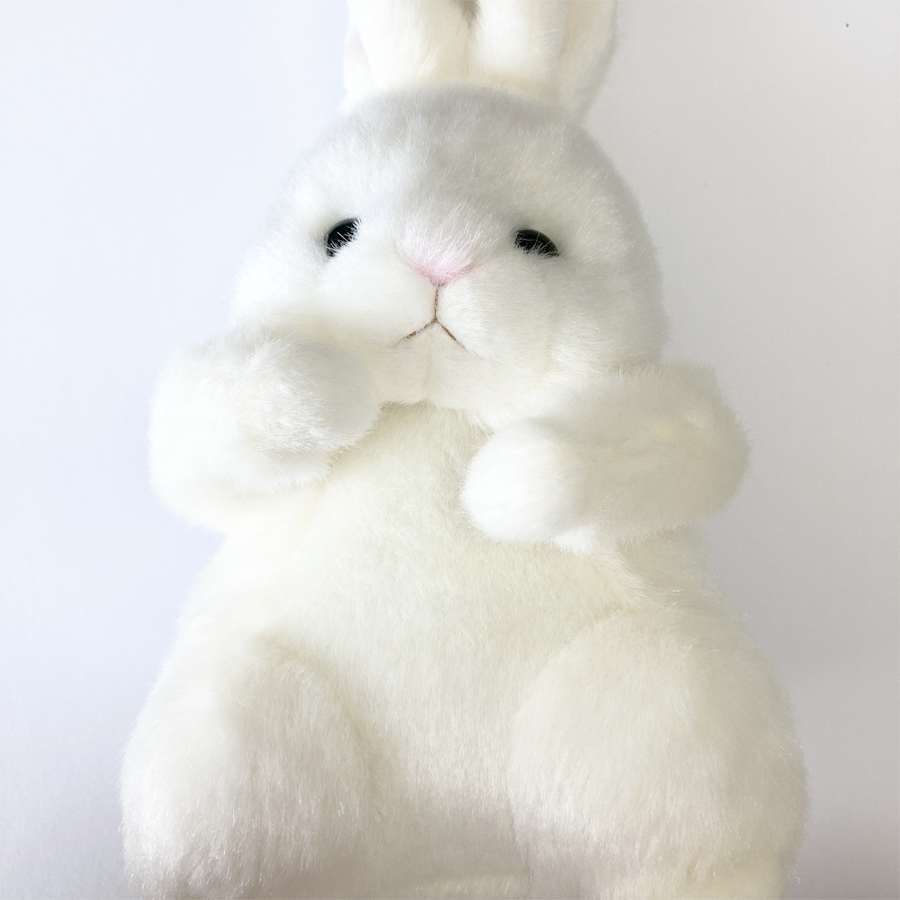 ☆うさこ☆ ぜのやん ._.˖⋆ on X: 