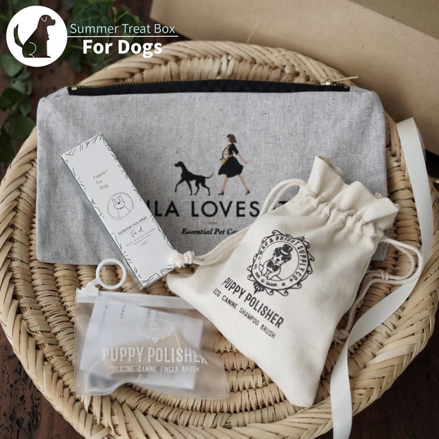 Little Winter Treat Box／クリックポスト便【送料無料】