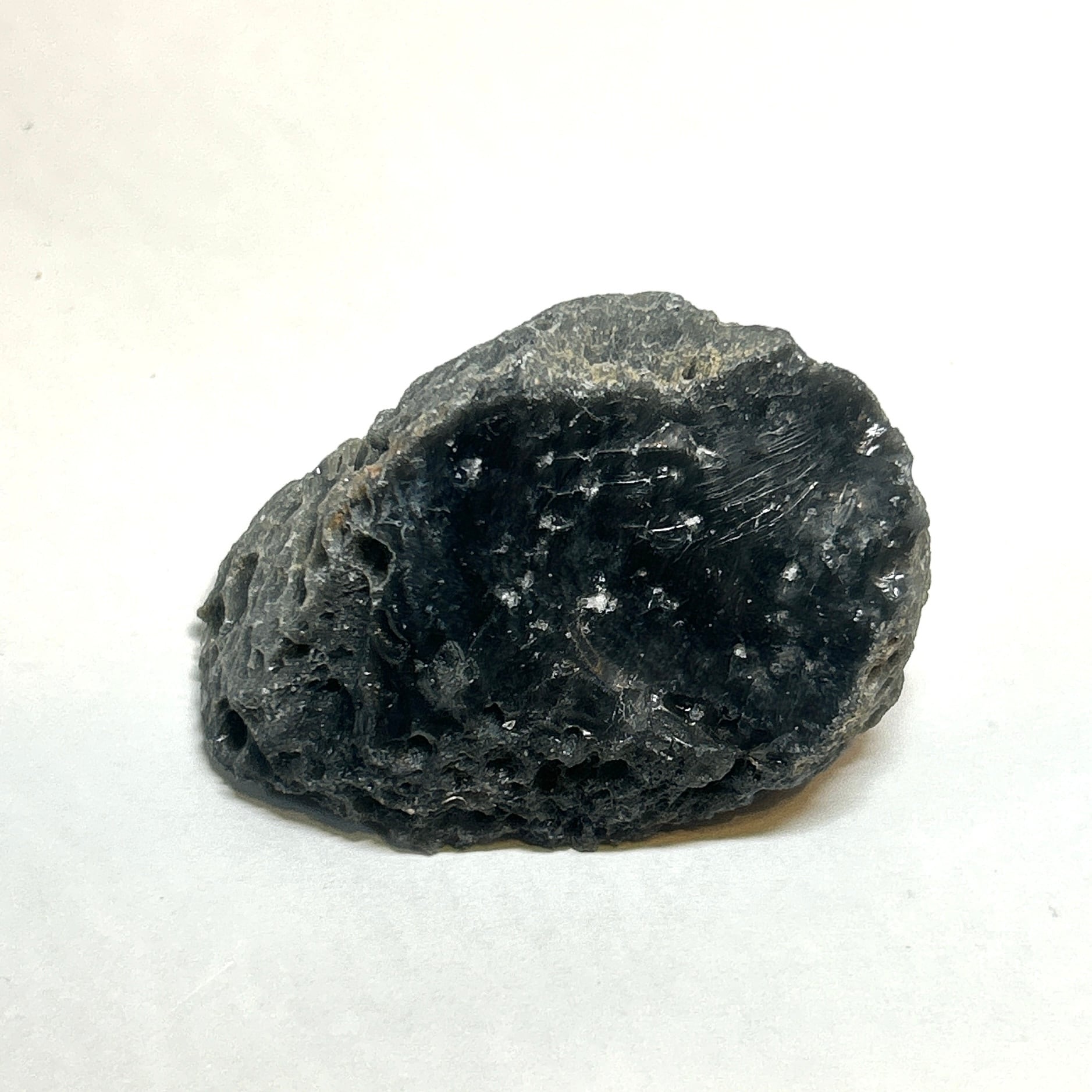 ⭐テクタイト（隕石起源の天然ガラス） | クリスタル・ワールド御徒町店