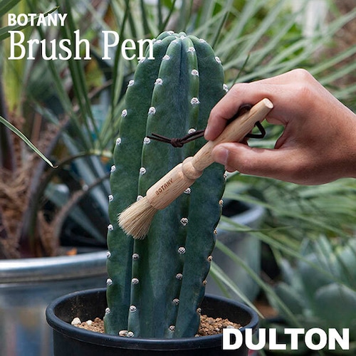 BRUSH PEN ブラシ ペン 観葉植物 クリーニング サボテン ガーデニング お手入れ ダルトンDULTON