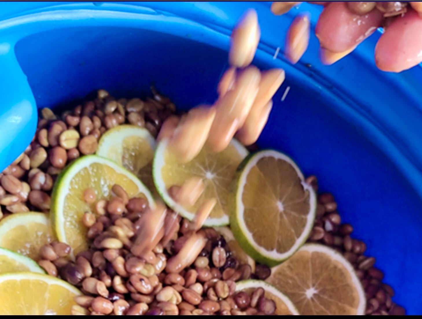 焙煎豆／コロンビア キンディオ インフューズド ワイン＆オレンジ 50g