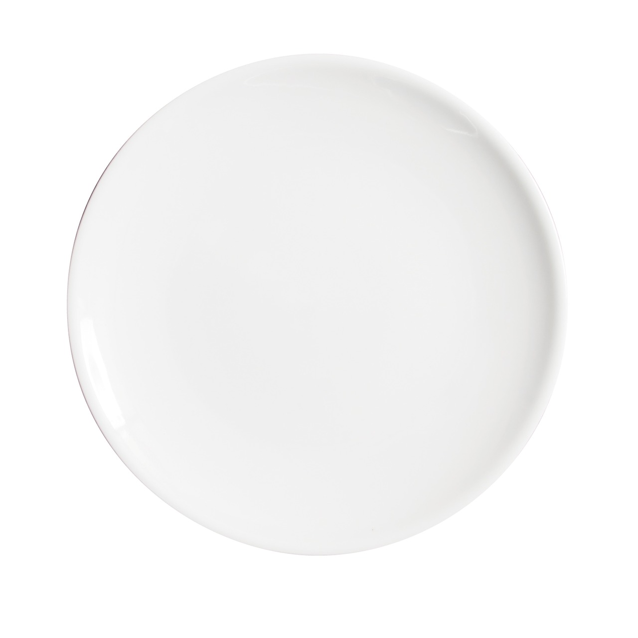 サタルニア　シビリア　ディナープレート　28