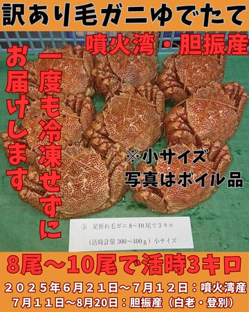 お買い得❗️毛蟹3尾　送料込み 楽天市場】毛ガニ 400g前後×3尾 毛蟹 毛がに かに カニ 北海道