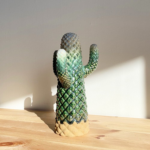 Cactus Objet:Randa WH