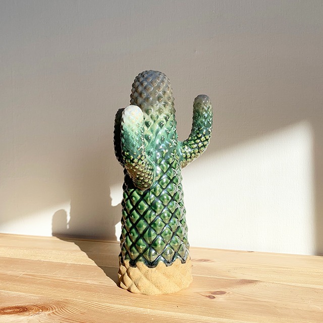 Cactus Objet:Randa PU