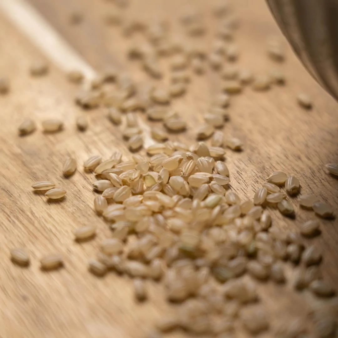 令和5年産新米　玄米　服部米蔵　新潟妙高産特別栽培米コシヒカリ　5kg（送料込み）　新潟妙高産コシヒカリ販売・米農家より産地直送でお届けします