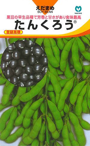 種子約20粒黒豆枝豆「たんくろう」 | wakabaseed