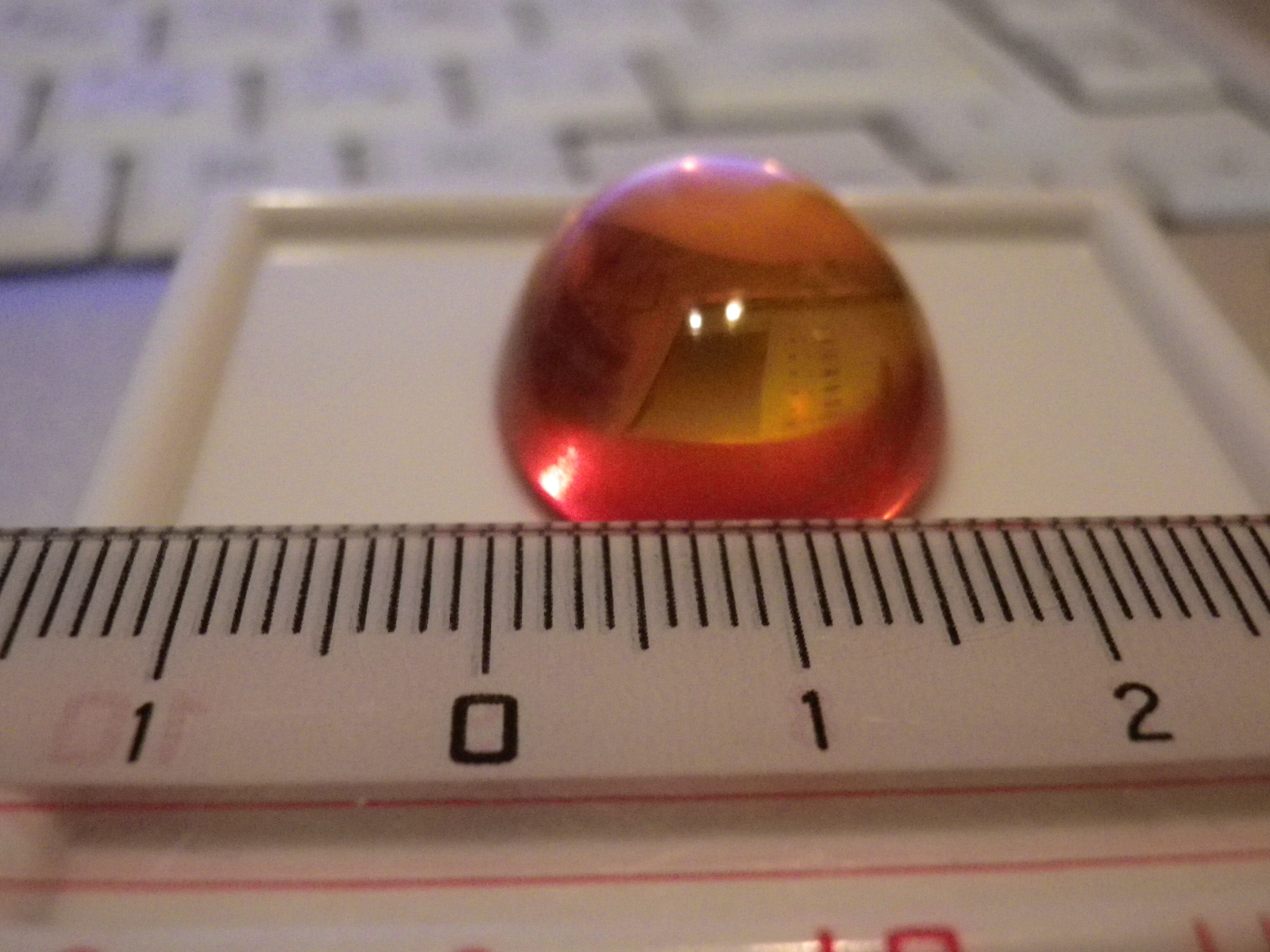 レア・アイテム 彫刻琥珀 0.78 ct ポーランド産 ポーランド産の琥珀