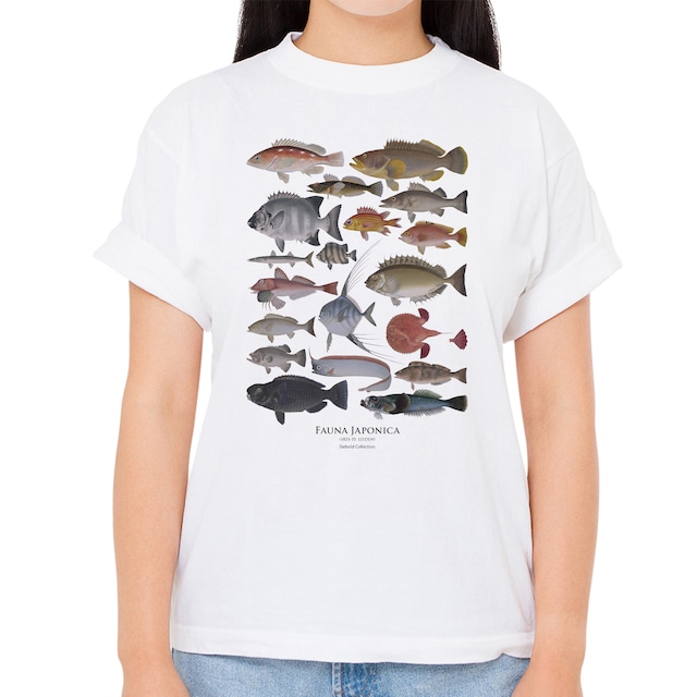 【魚群・その１】シーボルトコレクション魚譜Tシャツ（高解像・昇華プリント）