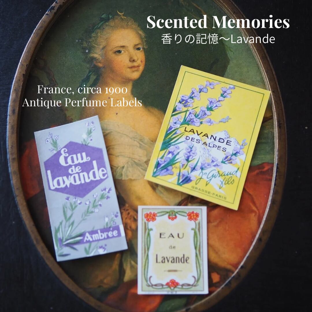 フランス・アンティーク紙ラベル3枚セット「ラベンダー」/1900年頃 香水エチケット